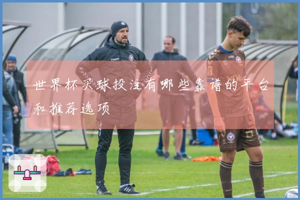 世界杯买球投注有哪些靠谱的平台和推荐选项