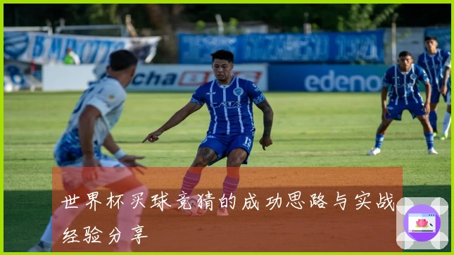 世界杯买球竞猜的成功思路与实战经验分享