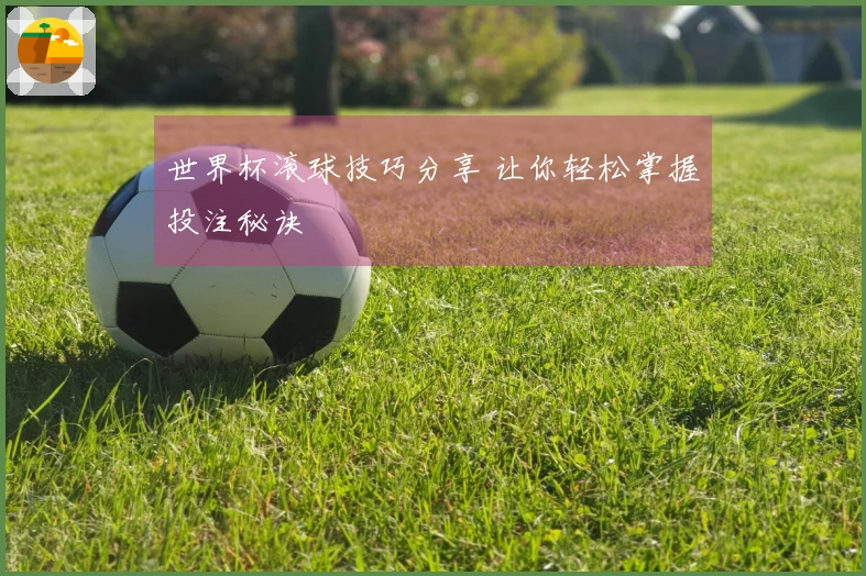 世界杯滚球技巧分享 让你轻松掌握投注秘诀