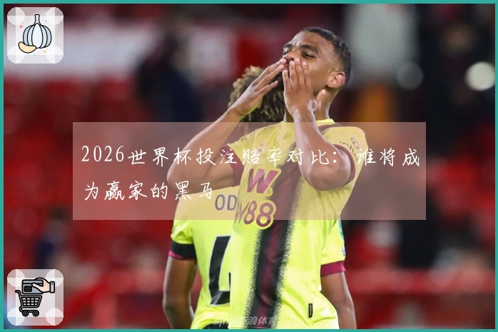 2026世界杯投注赔率对比：谁将成为赢家的黑马